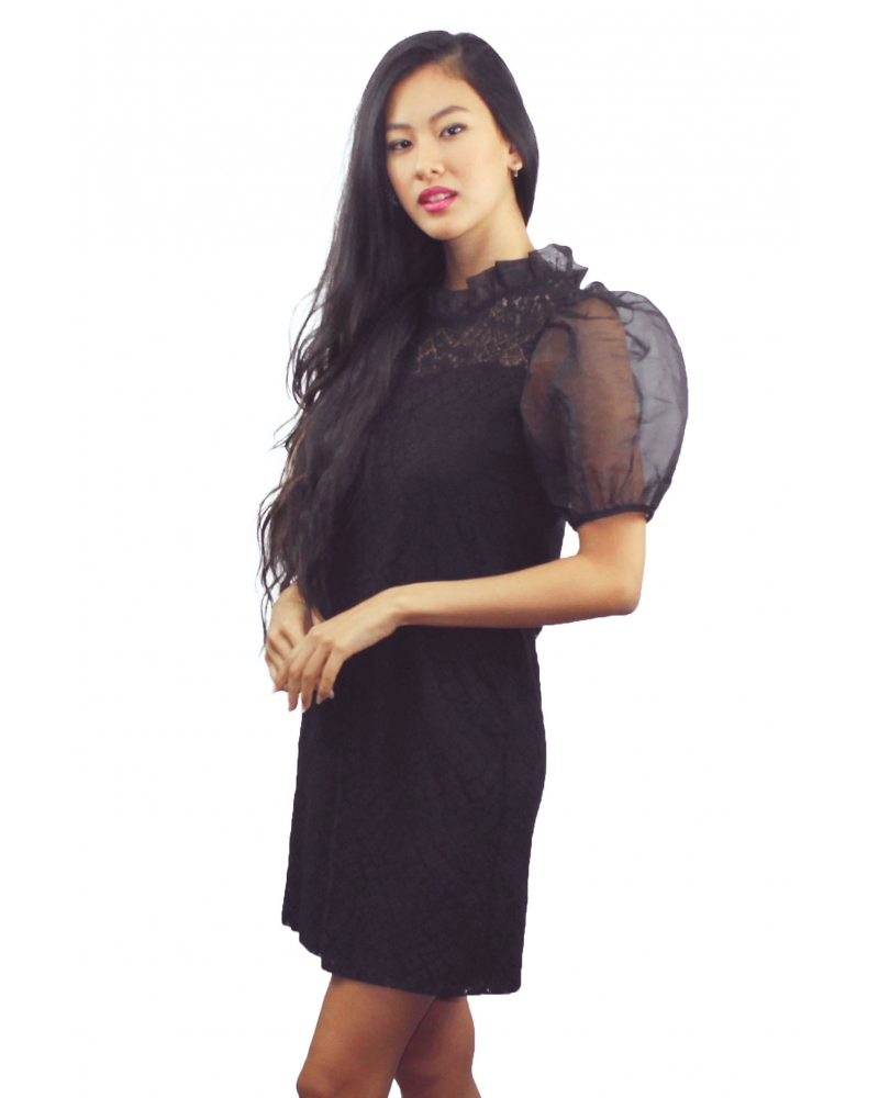 Balloon sleeve dress in tulle